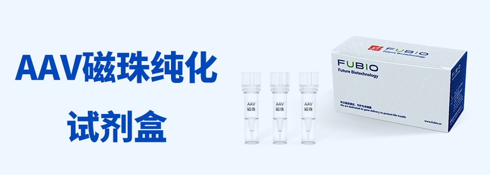香港身份