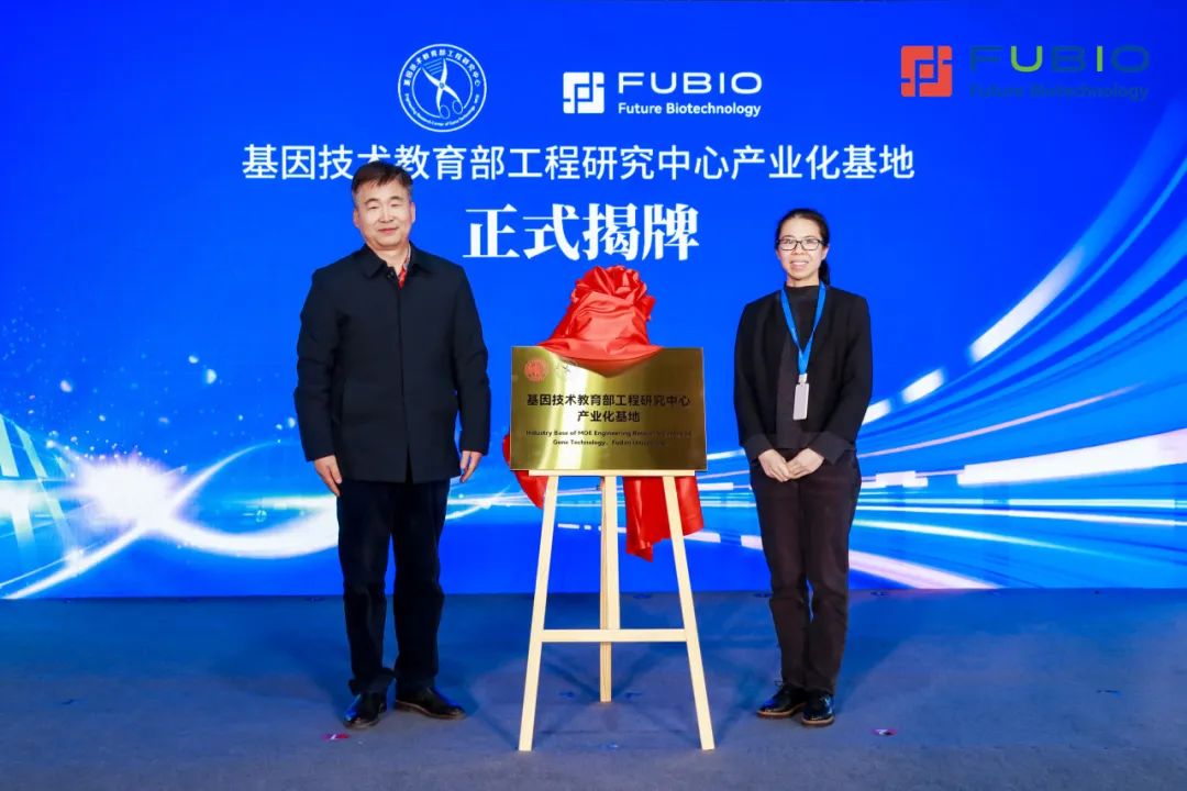 香港身份 香港身份